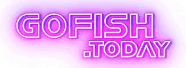 Go Fish Today Neon Logo